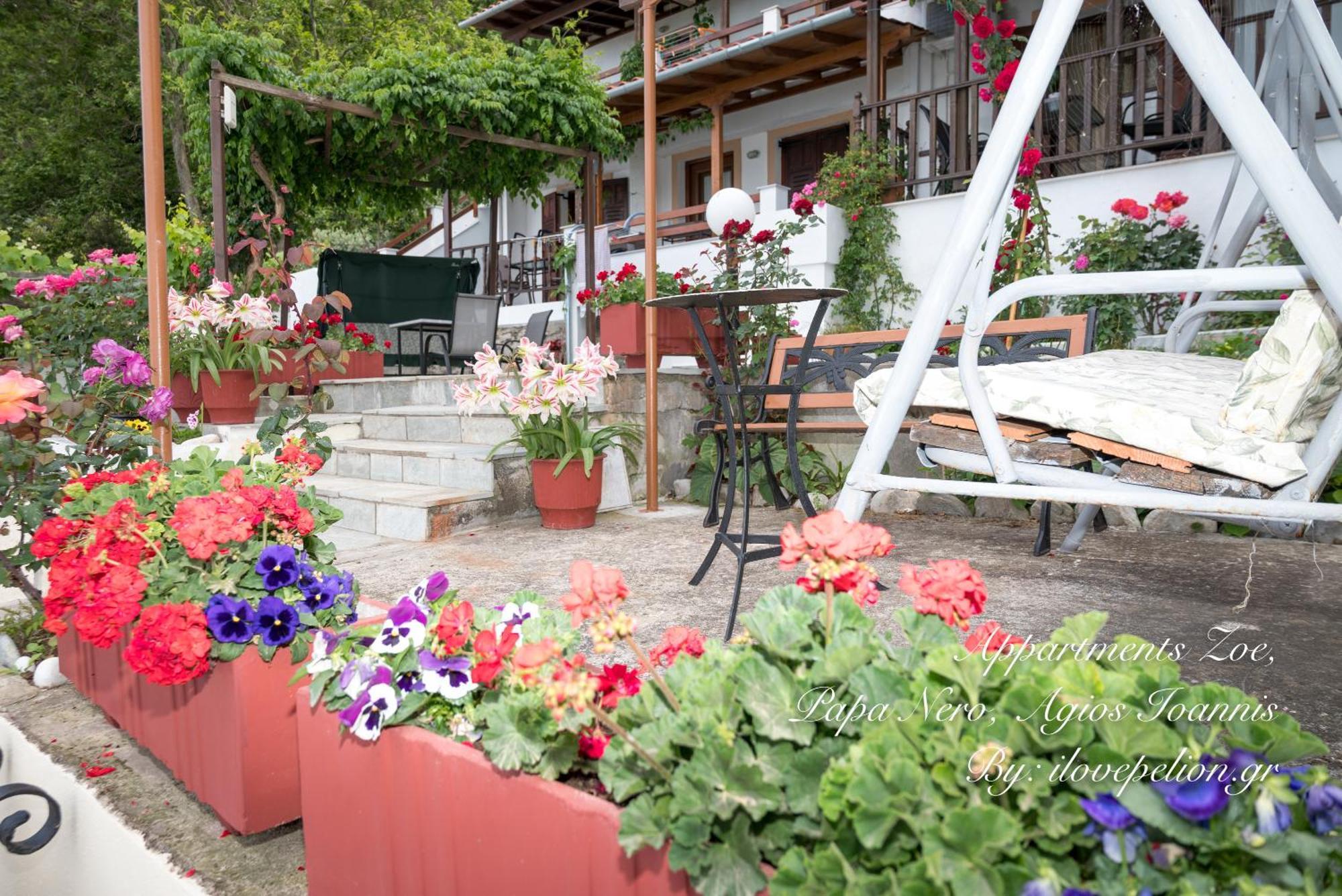 Appartments Zoe Agios Ioannis  Exterior foto